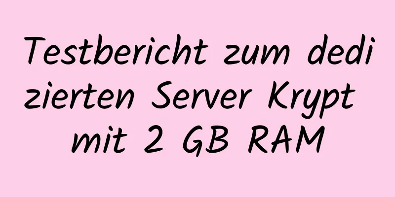 Testbericht zum dedizierten Server Krypt mit 2 GB RAM