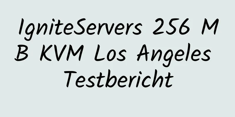 IgniteServers 256 MB KVM Los Angeles Testbericht