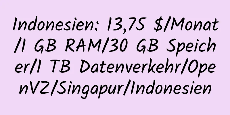 Indonesien: 13,75 $/Monat/1 GB RAM/30 GB Speicher/1 TB Datenverkehr/OpenVZ/Singapur/Indonesien