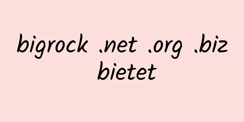 bigrock .net .org .biz bietet