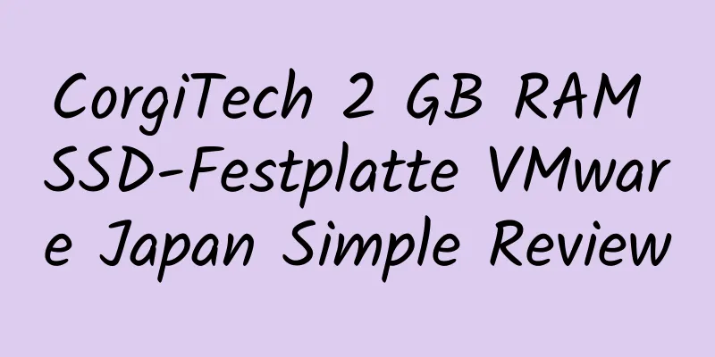 CorgiTech 2 GB RAM SSD-Festplatte VMware Japan Simple Review