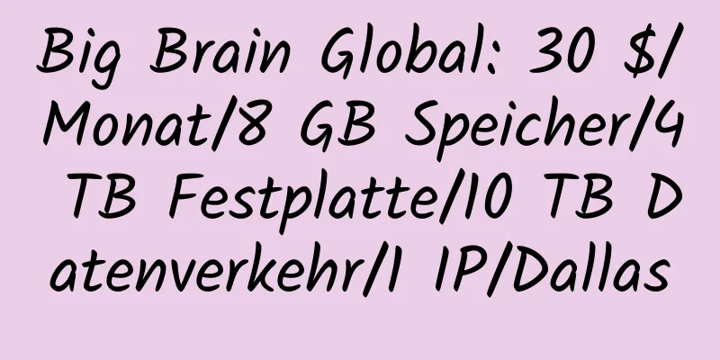 Big Brain Global: 30 $/Monat/8 GB Speicher/4 TB Festplatte/10 TB Datenverkehr/1 IP/Dallas