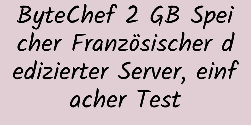 ByteChef 2 GB Speicher Französischer dedizierter Server, einfacher Test