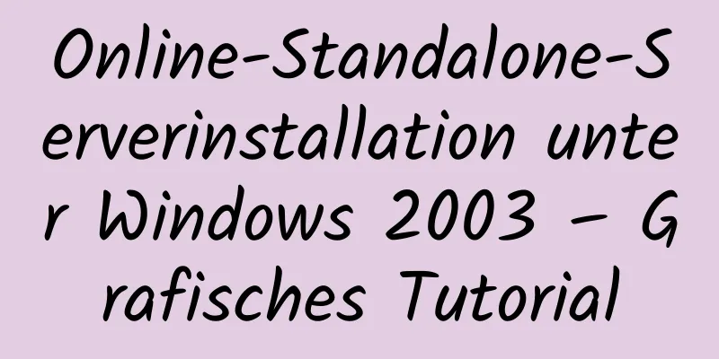 Online-Standalone-Serverinstallation unter Windows 2003 – Grafisches Tutorial