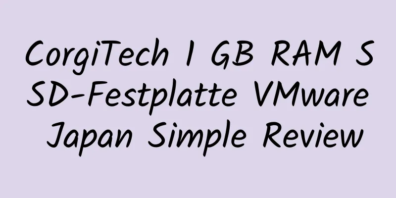 CorgiTech 1 GB RAM SSD-Festplatte VMware Japan Simple Review