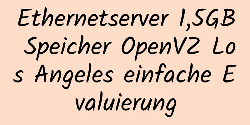 Ethernetserver 1,5GB Speicher OpenVZ Los Angeles einfache Evaluierung