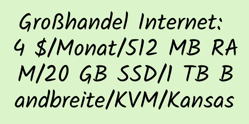 Großhandel Internet: 4 $/Monat/512 MB RAM/20 GB SSD/1 TB Bandbreite/KVM/Kansas