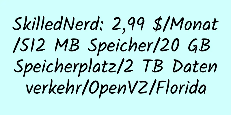 SkilledNerd: 2,99 $/Monat/512 MB Speicher/20 GB Speicherplatz/2 TB Datenverkehr/OpenVZ/Florida