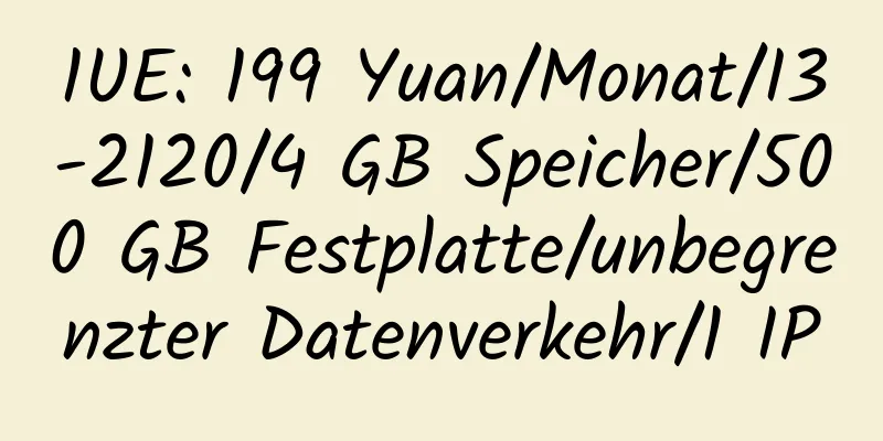 1UE: 199 Yuan/Monat/I3-2120/4 GB Speicher/500 GB Festplatte/unbegrenzter Datenverkehr/1 IP