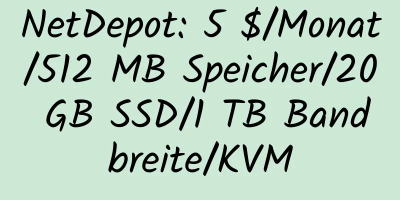 NetDepot: 5 $/Monat/512 MB Speicher/20 GB SSD/1 TB Bandbreite/KVM