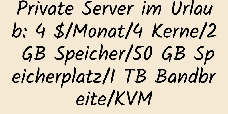 Private Server im Urlaub: 4 $/Monat/4 Kerne/2 GB Speicher/50 GB Speicherplatz/1 TB Bandbreite/KVM