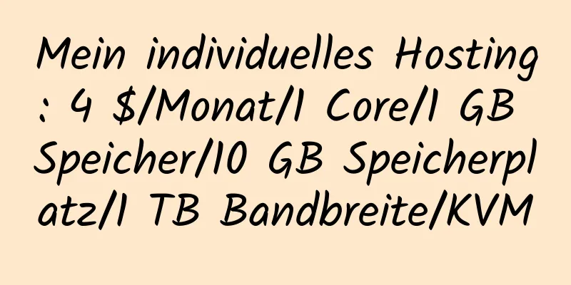 Mein individuelles Hosting: 4 $/Monat/1 Core/1 GB Speicher/10 GB Speicherplatz/1 TB Bandbreite/KVM