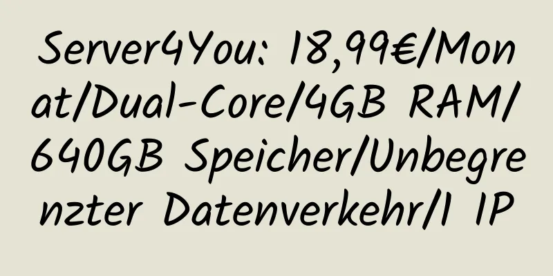 Server4You: 18,99€/Monat/Dual-Core/4GB RAM/640GB Speicher/Unbegrenzter Datenverkehr/1 IP