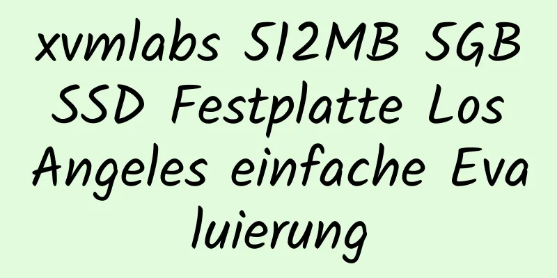 xvmlabs 512MB 5GB SSD Festplatte Los Angeles einfache Evaluierung