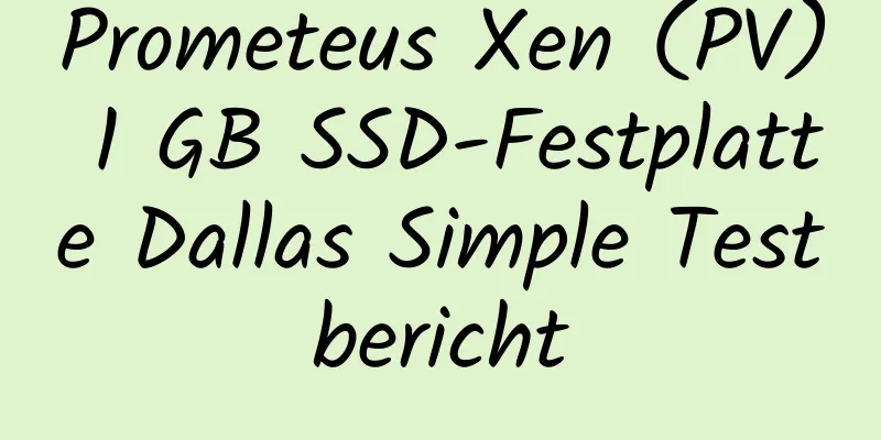 Prometeus Xen (PV) 1 GB SSD-Festplatte Dallas Simple Testbericht