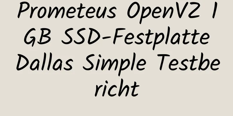 Prometeus OpenVZ 1 GB SSD-Festplatte Dallas Simple Testbericht