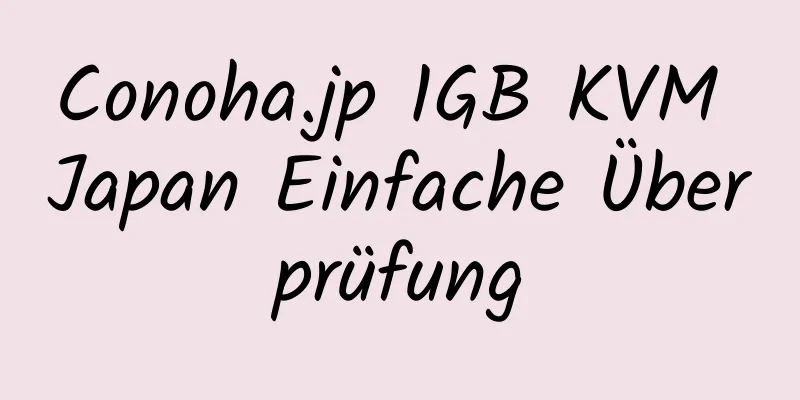 Conoha.jp 1GB KVM Japan Einfache Überprüfung