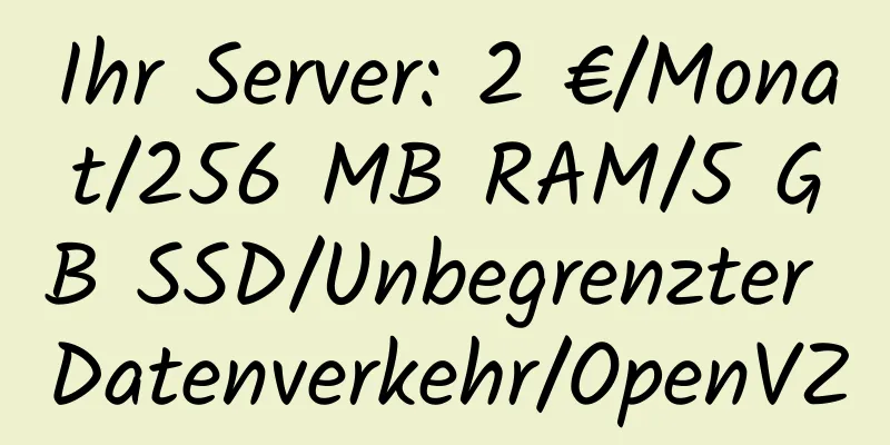 Ihr Server: 2 €/Monat/256 MB RAM/5 GB SSD/Unbegrenzter Datenverkehr/OpenVZ