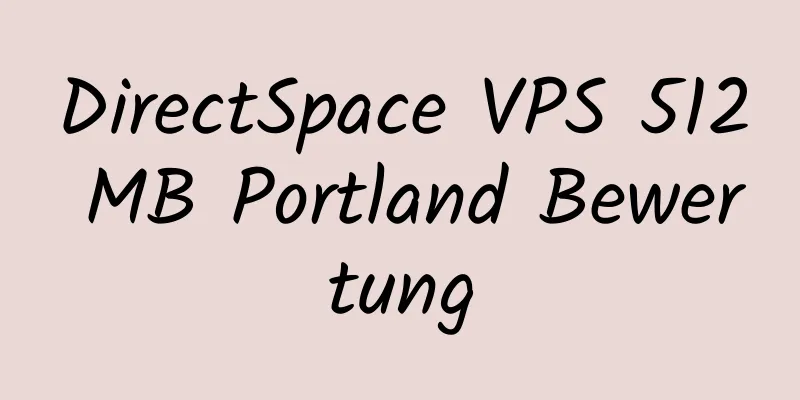 DirectSpace VPS 512 MB Portland Bewertung