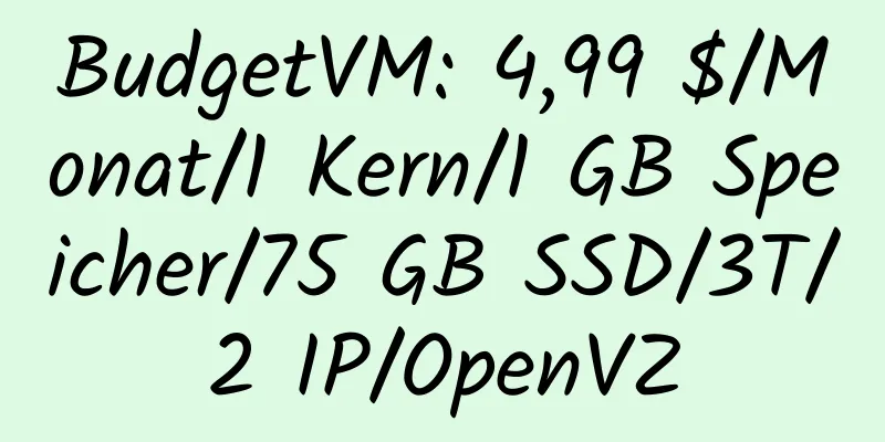 BudgetVM: 4,99 $/Monat/1 Kern/1 GB Speicher/75 GB SSD/3T/2 IP/OpenVZ