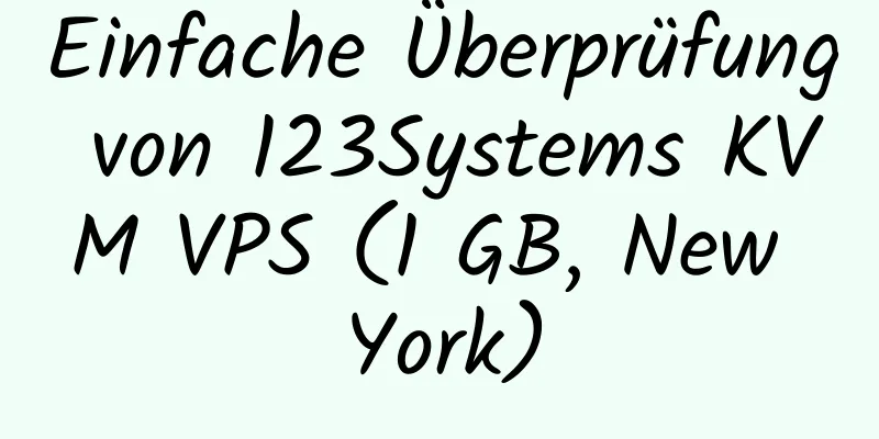 Einfache Überprüfung von 123Systems KVM VPS (1 GB, New York)