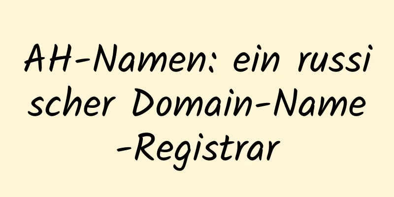 AH-Namen: ein russischer Domain-Name-Registrar