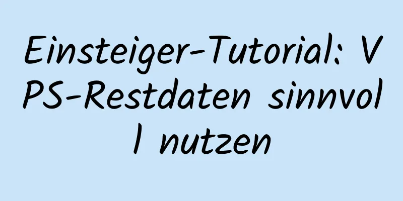 Einsteiger-Tutorial: VPS-Restdaten sinnvoll nutzen