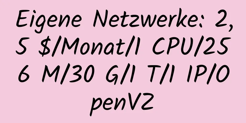 Eigene Netzwerke: 2,5 $/Monat/1 CPU/256 M/30 G/1 T/1 IP/OpenVZ