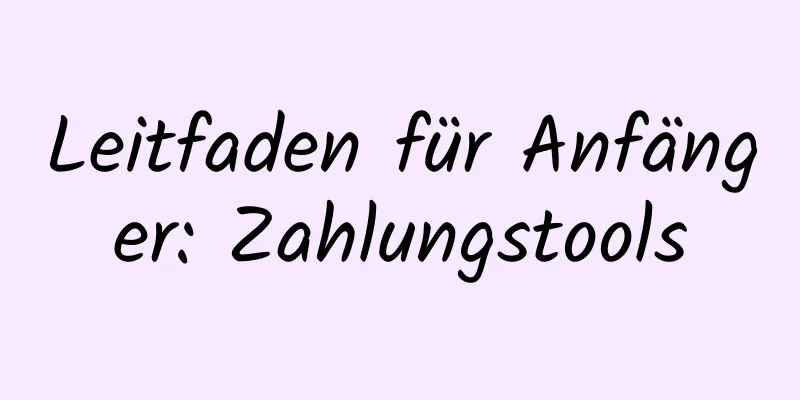 Leitfaden für Anfänger: Zahlungstools