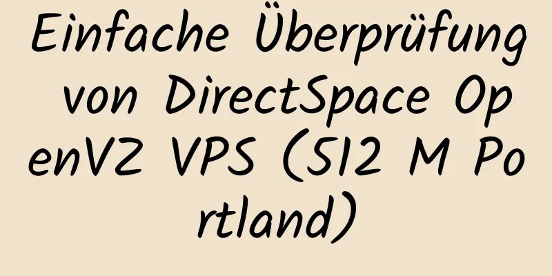 Einfache Überprüfung von DirectSpace OpenVZ VPS (512 M Portland)