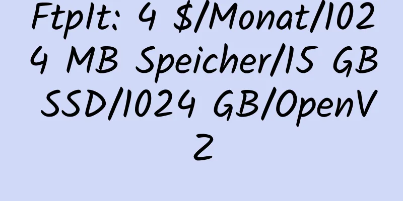 FtpIt: 4 $/Monat/1024 MB Speicher/15 GB SSD/1024 GB/OpenVZ