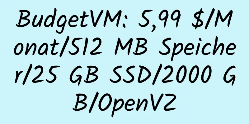 BudgetVM: 5,99 $/Monat/512 MB Speicher/25 GB SSD/2000 GB/OpenVZ