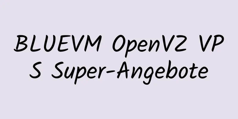 BLUEVM OpenVZ VPS Super-Angebote