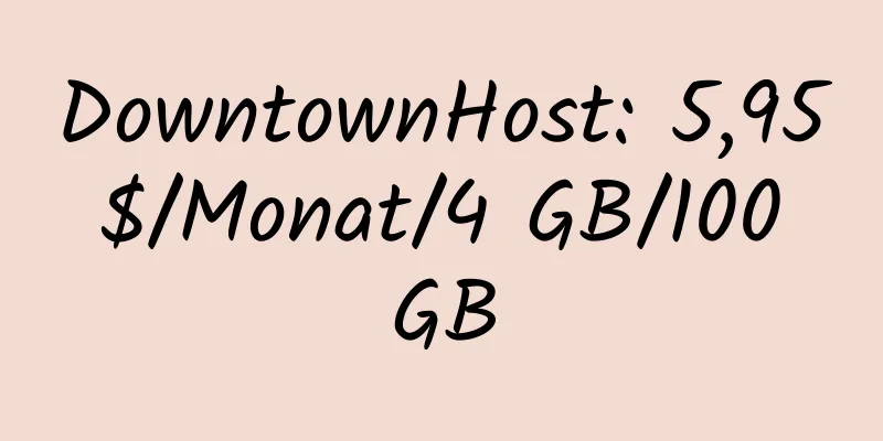 DowntownHost: 5,95 $/Monat/4 GB/100 GB