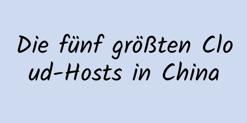 Die fünf größten Cloud-Hosts in China