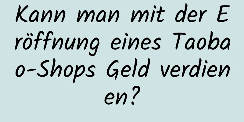 Kann man mit der Eröffnung eines Taobao-Shops Geld verdienen?