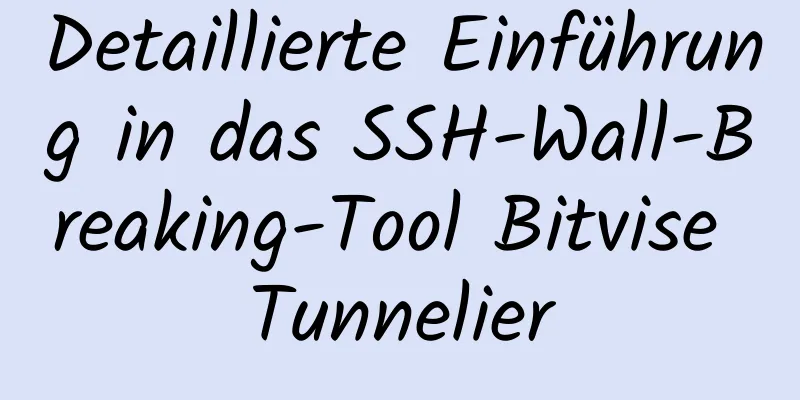 Detaillierte Einführung in das SSH-Wall-Breaking-Tool Bitvise Tunnelier