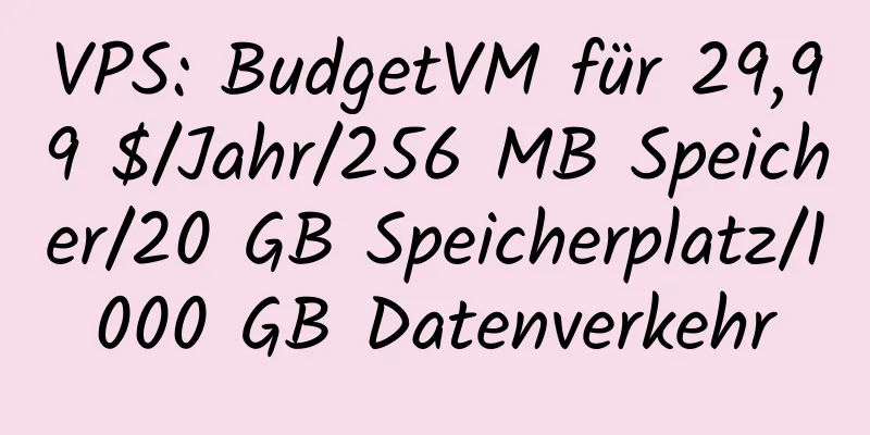 VPS: BudgetVM für 29,99 $/Jahr/256 MB Speicher/20 GB Speicherplatz/1000 GB Datenverkehr