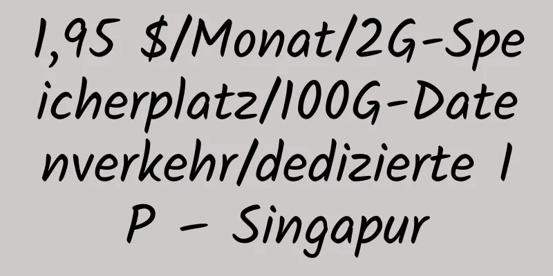 1,95 $/Monat/2G-Speicherplatz/100G-Datenverkehr/dedizierte IP – Singapur