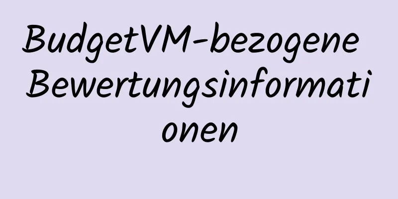 BudgetVM-bezogene Bewertungsinformationen