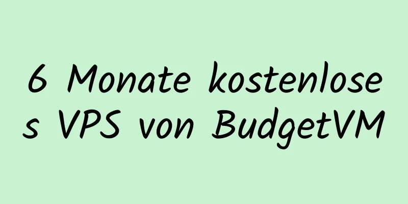 6 Monate kostenloses VPS von BudgetVM