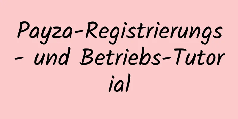 Payza-Registrierungs- und Betriebs-Tutorial