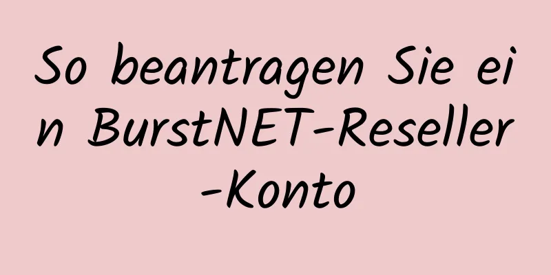 So beantragen Sie ein BurstNET-Reseller-Konto