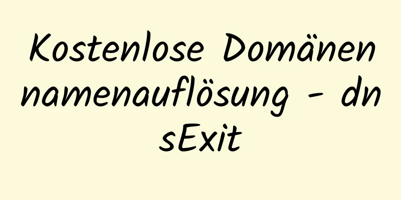 Kostenlose Domänennamenauflösung - dnsExit