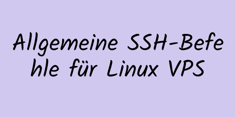 Allgemeine SSH-Befehle für Linux VPS