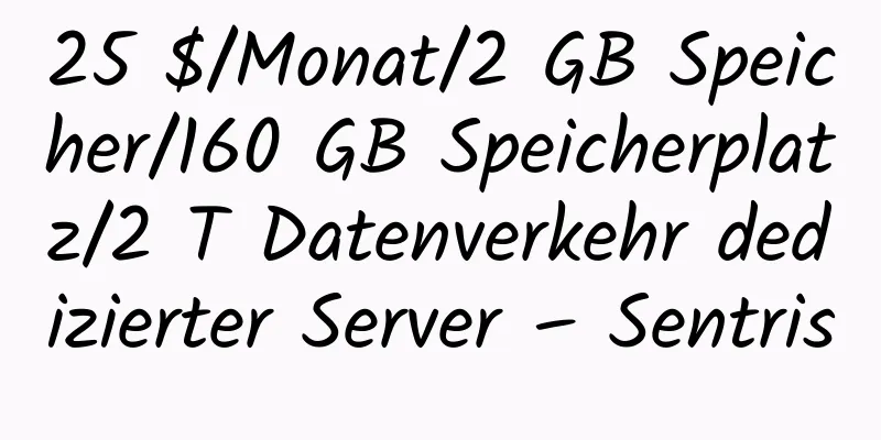 25 $/Monat/2 GB Speicher/160 GB Speicherplatz/2 T Datenverkehr dedizierter Server – Sentris