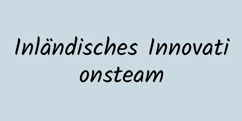 Inländisches Innovationsteam