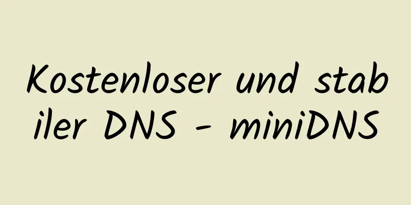 Kostenloser und stabiler DNS - miniDNS