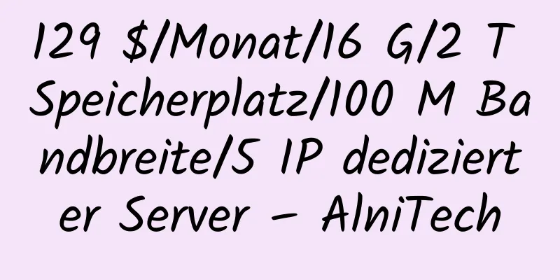 129 $/Monat/16 G/2 T Speicherplatz/100 M Bandbreite/5 IP dedizierter Server – AlniTech