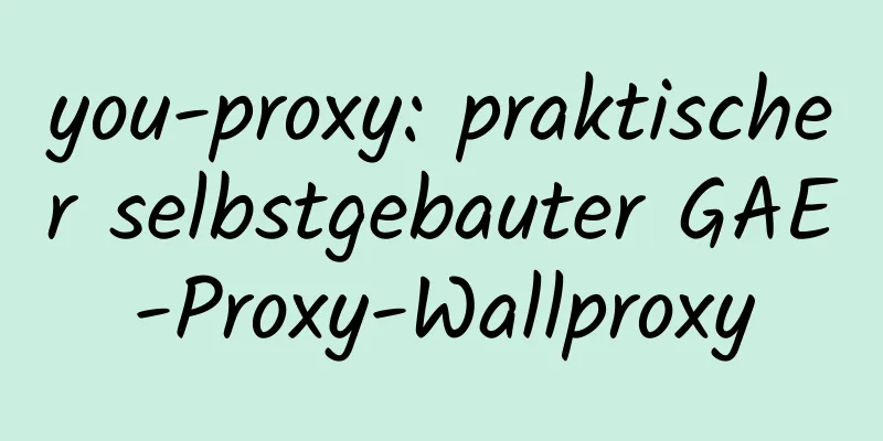 you-proxy: praktischer selbstgebauter GAE-Proxy-Wallproxy